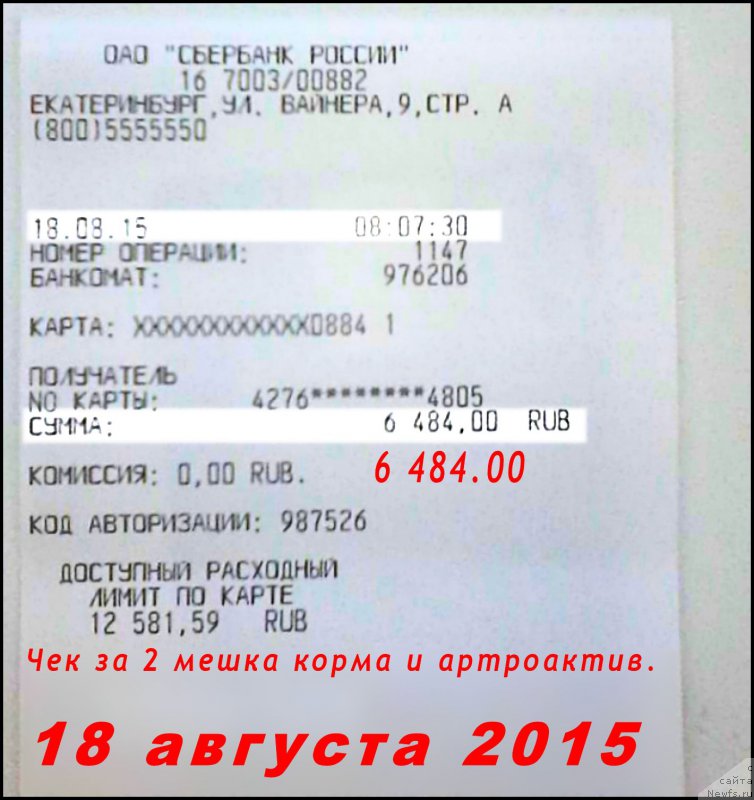 Фотография № 189221