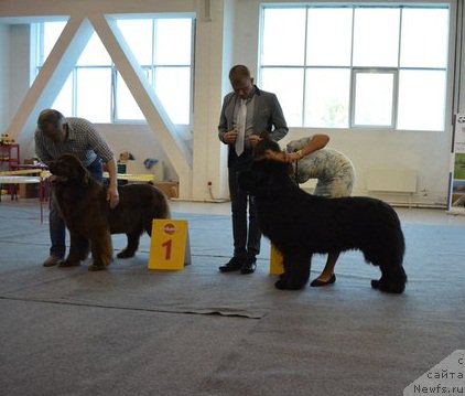 Фотография № 189225