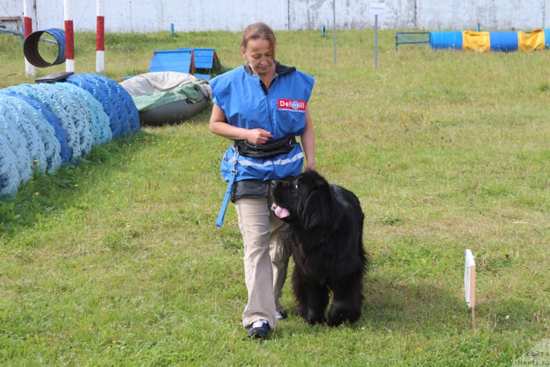 Фотография № 189230