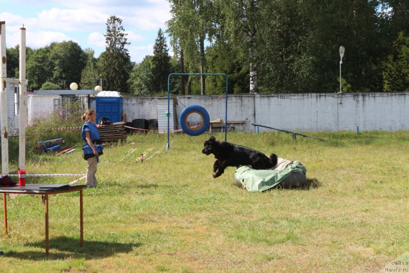 Фотография № 189231