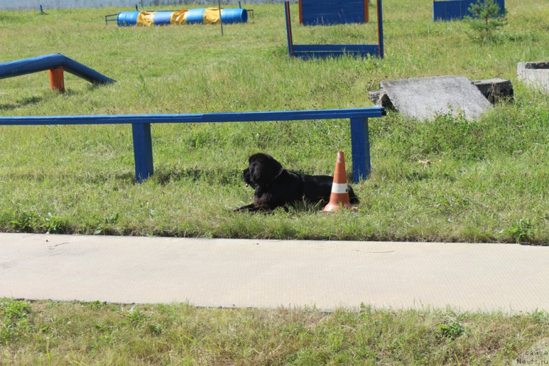 Фотография № 189235