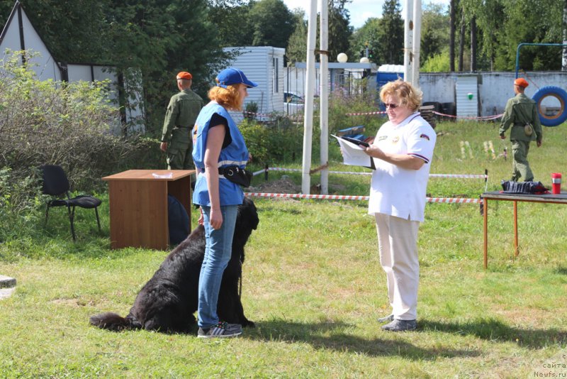 Фотография № 189236