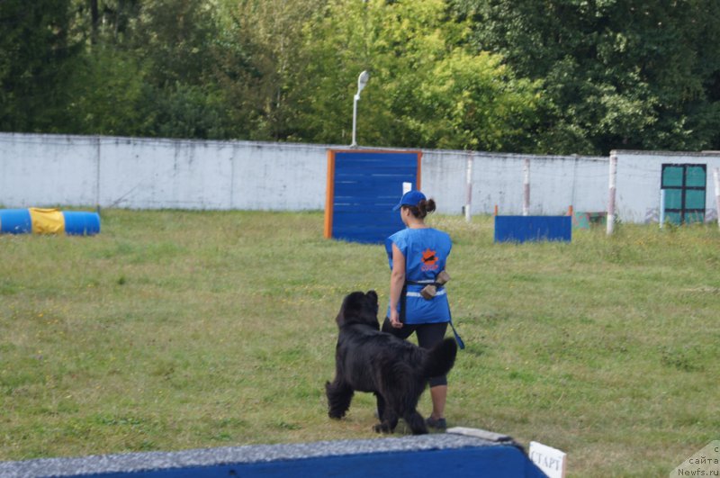 Фотография № 189243