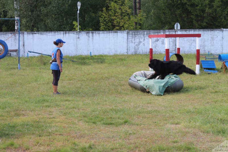 Фотография № 189244