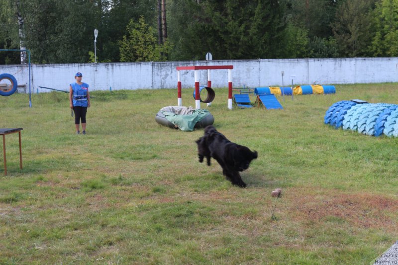 Фотография № 189245