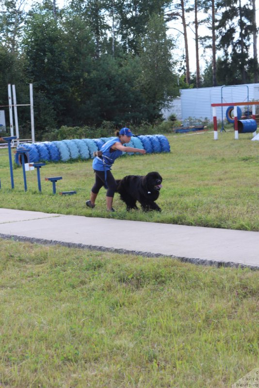 Фотография № 189247