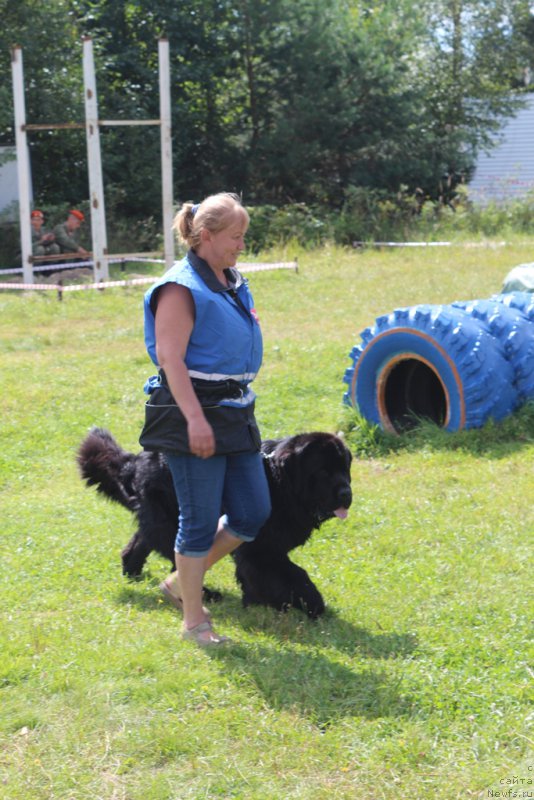 Фотография № 189251