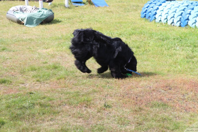 Фотография № 189254