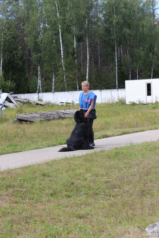 Фотография № 189258