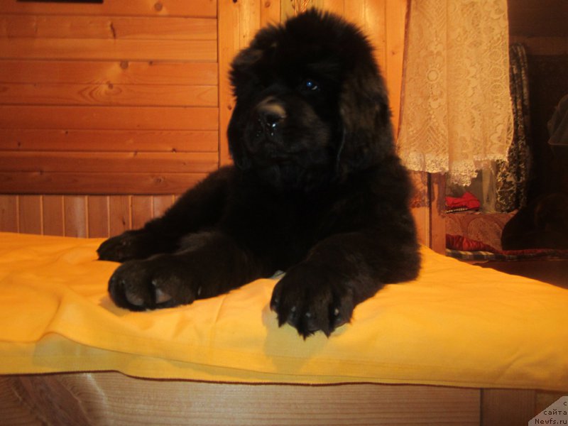 Фото: Наталья Смазчикова