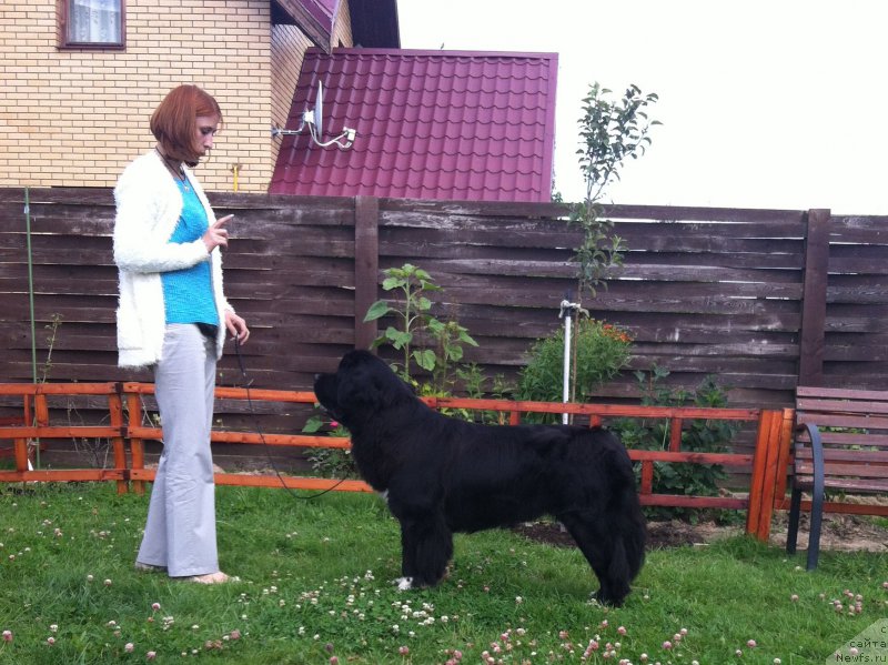 Фотография № 189279