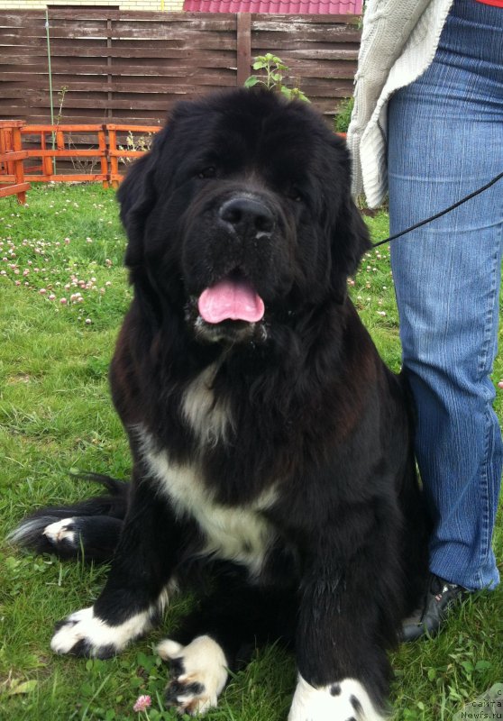 Фотография № 189281