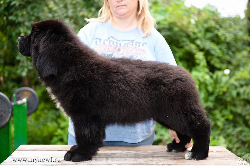 Фотография № 189286