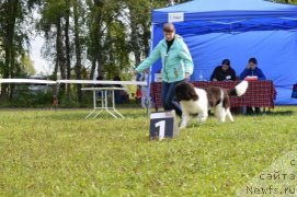 Фотография № 189296