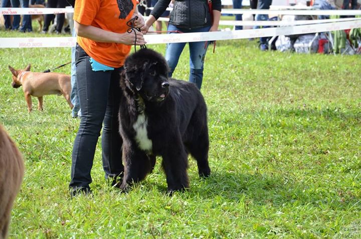 Фотография № 189300