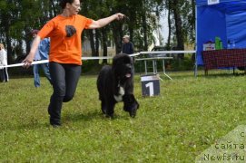 Фотография № 189301