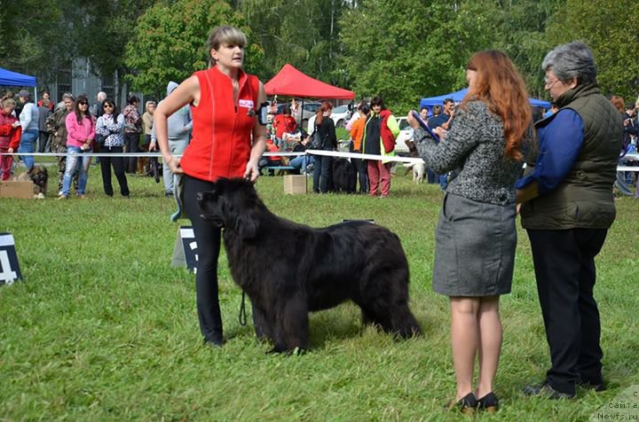 Фотография № 189302