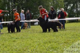 Фотография № 189303