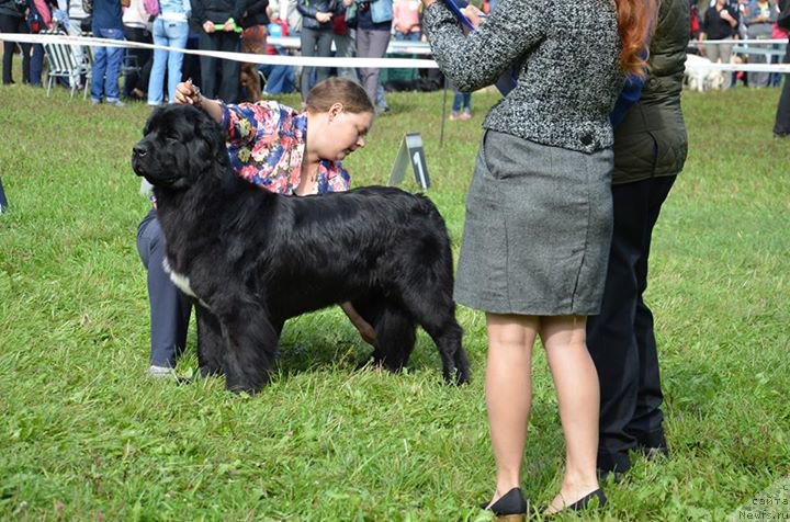 Фотография № 189304