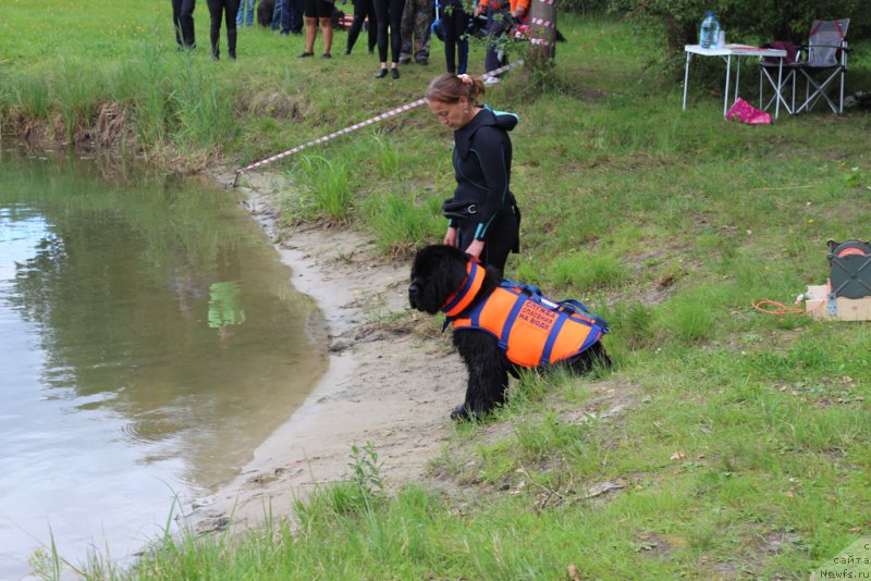 Фотография № 189320