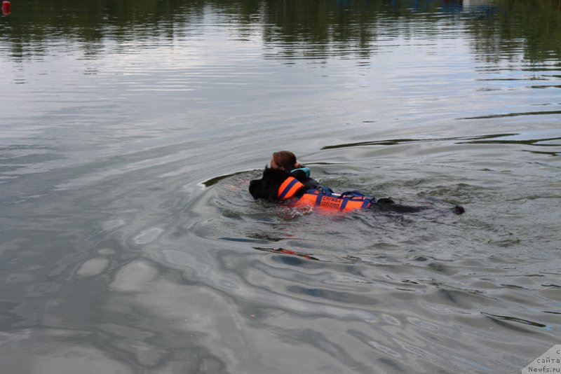 Фотография № 189321