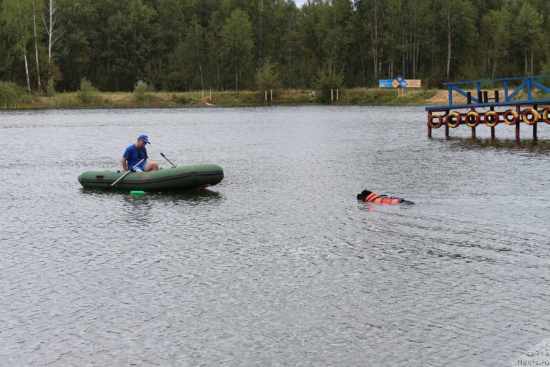 Фотография № 189322