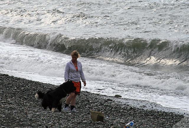Фото: ньюфаундленд Питерньюф Жить Хорошо (Piternyuf Zhit' Horosho), Светик