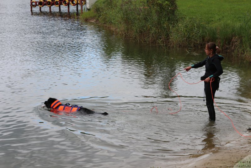 Фотография № 189330