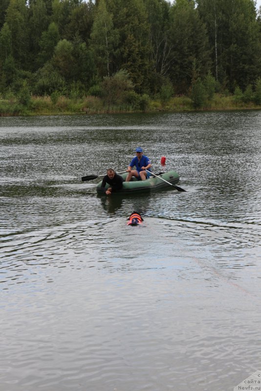 Фотография № 189331