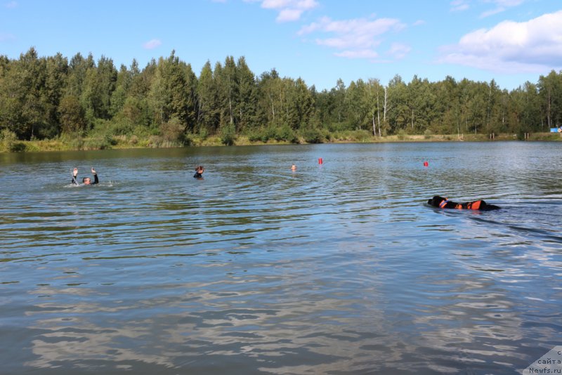 Фотография № 189341