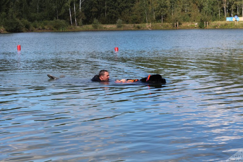 Фотография № 189342