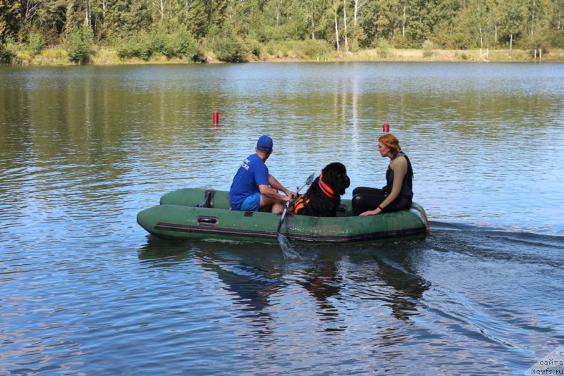 Фотография № 189344