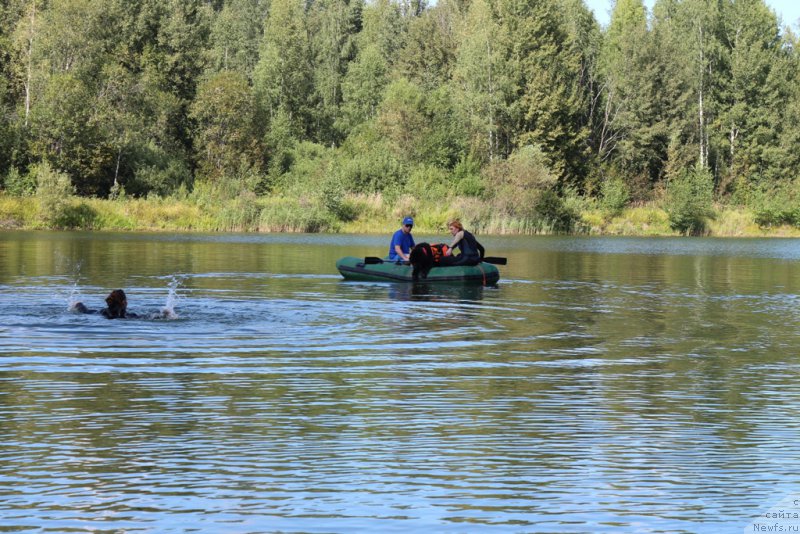 Фотография № 189345