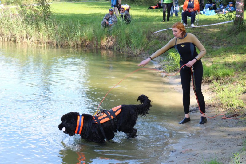 Фотография № 189349