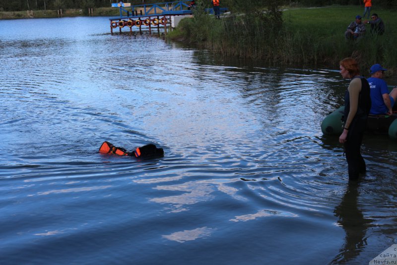 Фотография № 189355