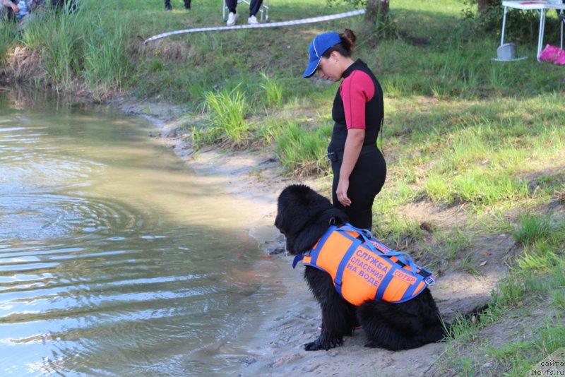 Фотография № 189356