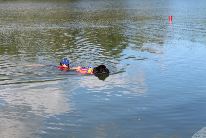 Фотография № 189359