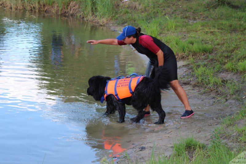 Фотография № 189361