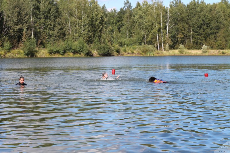 Фотография № 189365