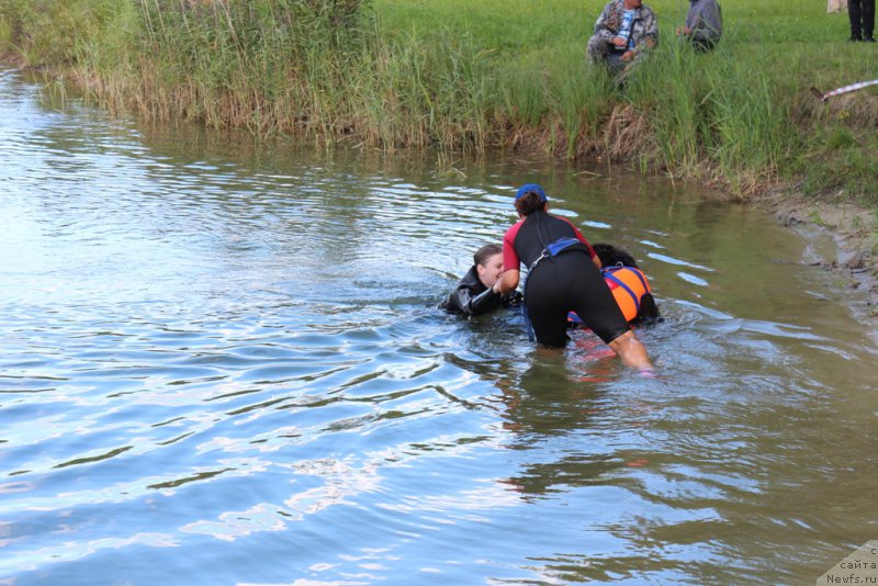 Фото: Александра Фетисова, ньюфаундленд Бегущая по Волнам Фогет Ми Нот