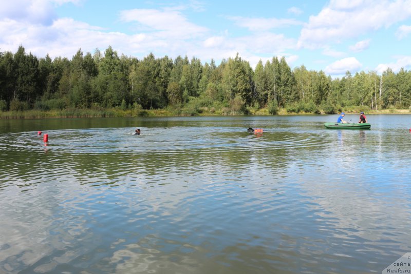 Фотография № 189370