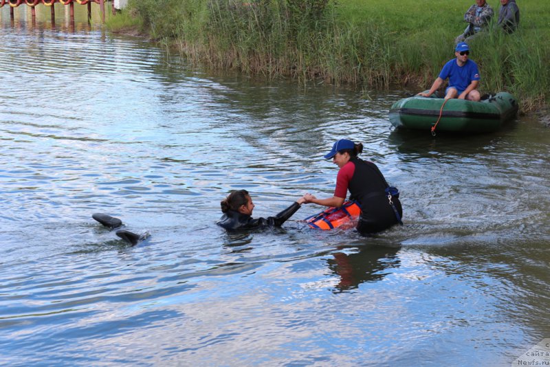 Фотография № 189372