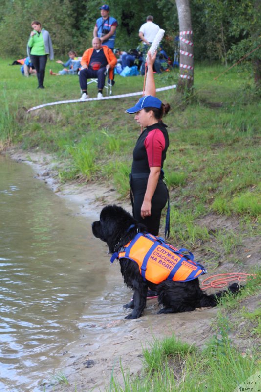 Фотография № 189373