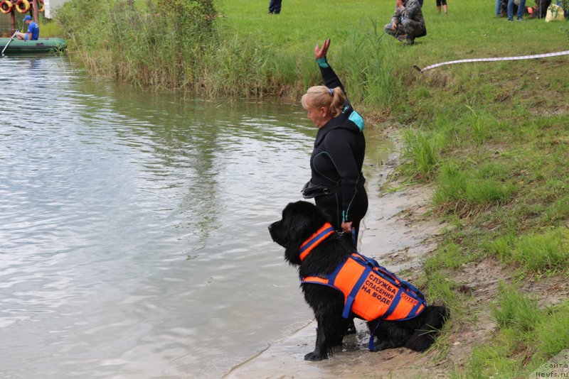 Фотография № 189386