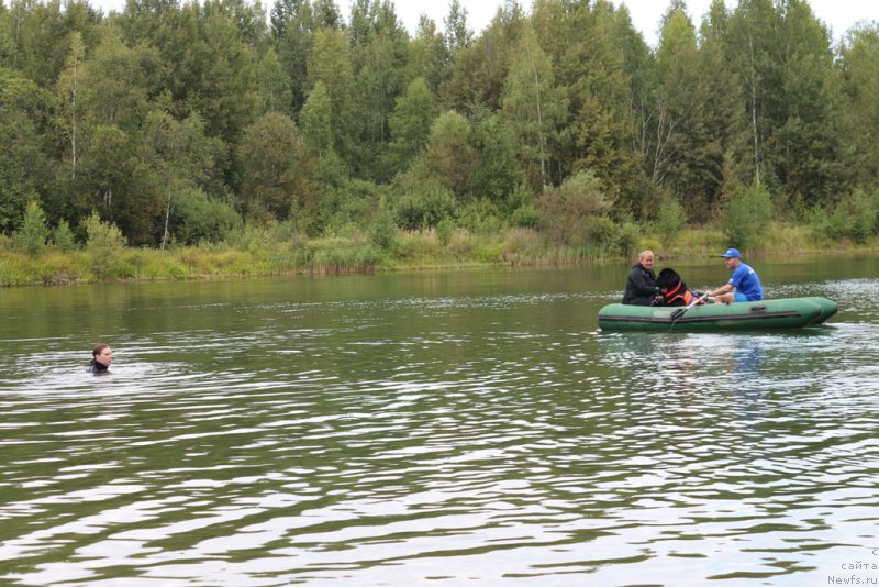 Фотография № 189390