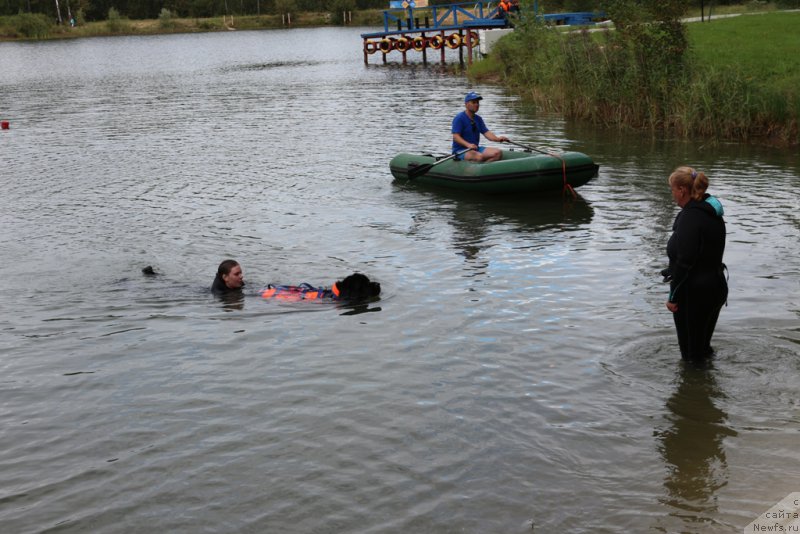 Фотография № 189392