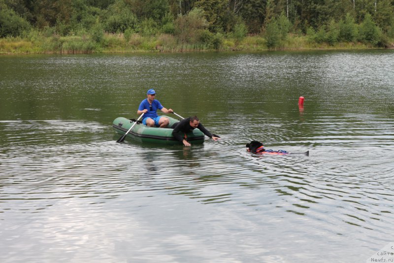 Фотография № 189394