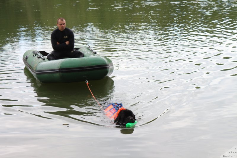 Фотография № 189399