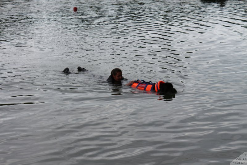 Фотография № 189402