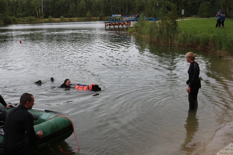 Фото: Лариса Кутина, ньюфаундленд Белкондер-Клаб Угли-Бугли (Belkonder-Club Ugli-Boogli)